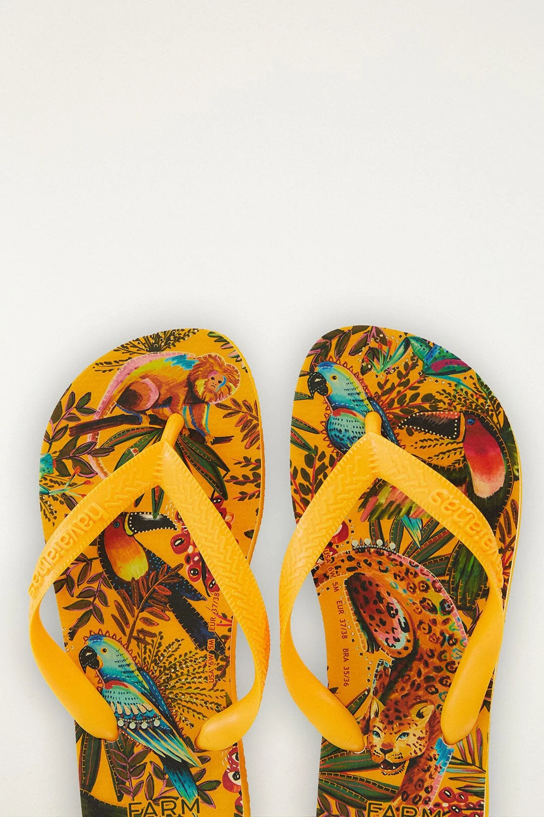 Into The Jungle Havaianas